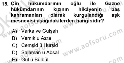 XVI. Yüzyıl Türk Edebiyatı Dersi 2025 - 2026 Yılı Yaz Okulu Sınav Soruları 15. Soru