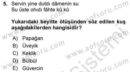 XVI. Yüzyıl Türk Edebiyatı Dersi 2025 - 2026 Yılı Yaz Okulu Sınav Soruları 5. Soru