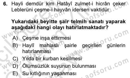 XVI. Yüzyıl Türk Edebiyatı Dersi 2025 - 2026 Yılı Yaz Okulu Sınav Soruları 6. Soru