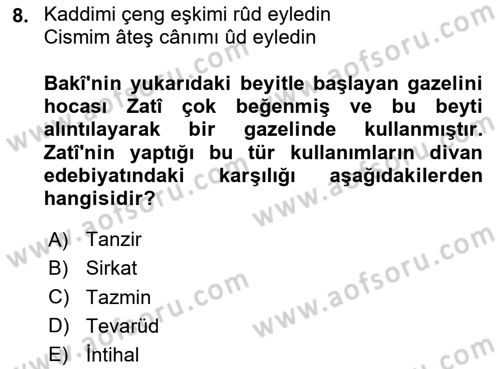 XVI. Yüzyıl Türk Edebiyatı Dersi 2025 - 2026 Yılı Yaz Okulu Sınav Soruları 8. Soru