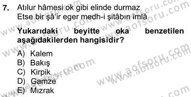 XVII. Yüzyıl Türk Edebiyatı Dersi 2012 - 2013 Yılı (Vize) Ara Sınav Soruları 7. Soru