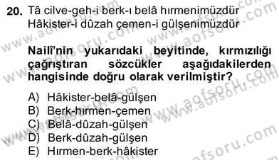 XVII. Yüzyıl Türk Edebiyatı Dersi 2013 - 2014 Yılı (Vize) Ara Sınav Soruları 20. Soru