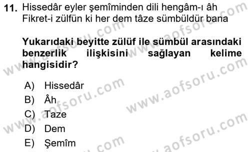 XVII. Yüzyıl Türk Edebiyatı Dersi 2016 - 2017 Yılı (Vize) Ara Sınav Soruları 11. Soru