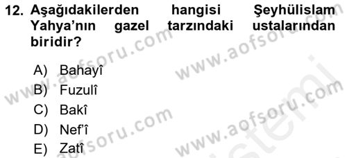 XVII. Yüzyıl Türk Edebiyatı Dersi 2017 - 2018 Yılı (Vize) Ara Sınav Soruları 12. Soru