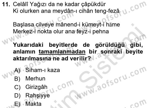 XVII. Yüzyıl Türk Edebiyatı Dersi 2021 - 2022 Yılı (Vize) Ara Sınav Soruları 11. Soru