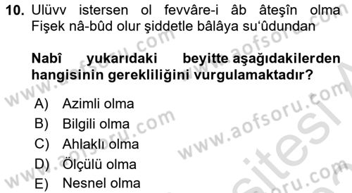 XVII. Yüzyıl Türk Edebiyatı Dersi 2021 - 2022 Yılı (Final) Dönem Sonu Sınavı 10. Soru