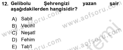 XVII. Yüzyıl Türk Edebiyatı Dersi 2021 - 2022 Yılı (Final) Dönem Sonu Sınavı 12. Soru