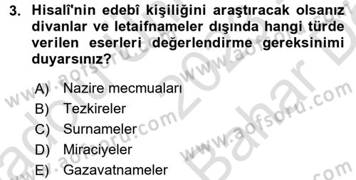 XVII. Yüzyıl Türk Edebiyatı Dersi 2023 - 2024 Yılı (Vize) Ara Sınav Soruları 3. Soru