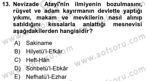 XVII. Yüzyıl Türk Edebiyatı Dersi 2023 - 2024 Yılı (Final) Dönem Sonu Sınav Soruları 13. Soru