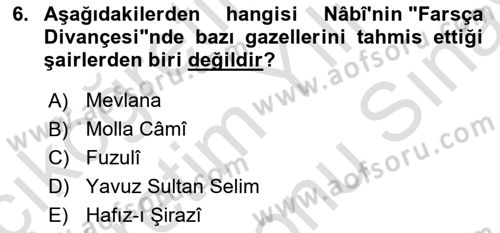XVII. Yüzyıl Türk Edebiyatı Dersi 2023 - 2024 Yılı (Final) Dönem Sonu Sınav Soruları 6. Soru