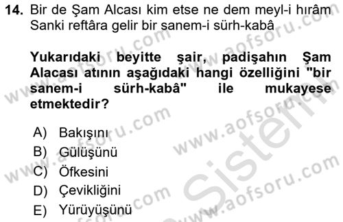 XVII. Yüzyıl Türk Edebiyatı Dersi 2024 - 2025 Yılı (Vize) Ara Sınav Soruları 14. Soru