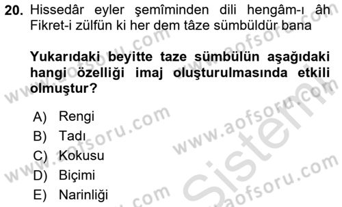 XVII. Yüzyıl Türk Edebiyatı Dersi 2024 - 2025 Yılı (Vize) Ara Sınav Soruları 20. Soru