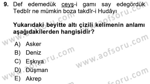 XVII. Yüzyıl Türk Edebiyatı Dersi 2024 - 2025 Yılı (Vize) Ara Sınav Soruları 9. Soru