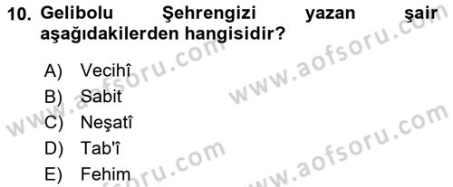 XVII. Yüzyıl Türk Edebiyatı Dersi 2024 - 2025 Yılı (Final) Dönem Sonu Sınav Soruları 10. Soru