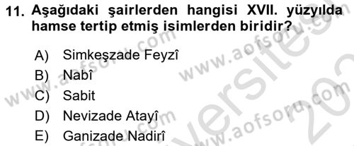 XVII. Yüzyıl Türk Edebiyatı Dersi 2024 - 2025 Yılı (Final) Dönem Sonu Sınav Soruları 11. Soru
