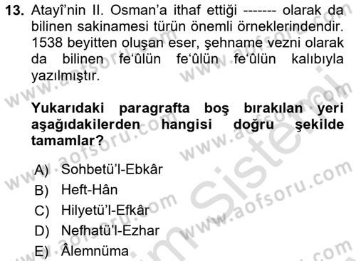XVII. Yüzyıl Türk Edebiyatı Dersi 2024 - 2025 Yılı (Final) Dönem Sonu Sınav Soruları 13. Soru
