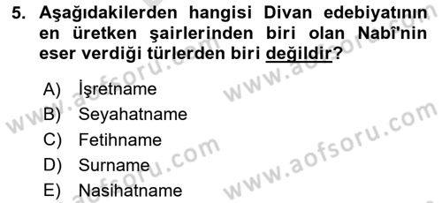 XVII. Yüzyıl Türk Edebiyatı Dersi 2024 - 2025 Yılı (Final) Dönem Sonu Sınav Soruları 5. Soru