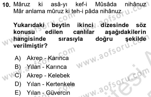 XVII. Yüzyıl Türk Edebiyatı Dersi 2024 - 2025 Yılı Yaz Okulu Sınav Soruları 10. Soru