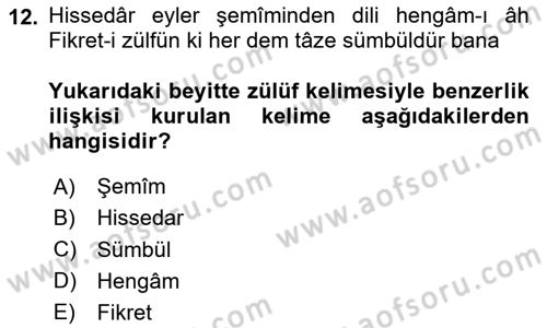 XVII. Yüzyıl Türk Edebiyatı Dersi 2024 - 2025 Yılı Yaz Okulu Sınav Soruları 12. Soru