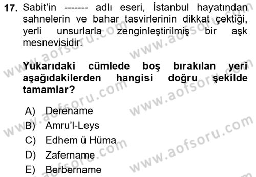 XVII. Yüzyıl Türk Edebiyatı Dersi 2024 - 2025 Yılı Yaz Okulu Sınav Soruları 17. Soru
