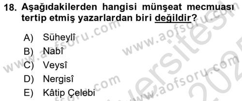 XVII. Yüzyıl Türk Edebiyatı Dersi 2024 - 2025 Yılı Yaz Okulu Sınav Soruları 18. Soru