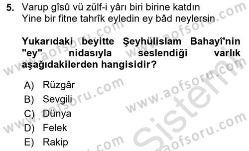 XVII. Yüzyıl Türk Edebiyatı Dersi 2024 - 2025 Yılı Yaz Okulu Sınav Soruları 5. Soru