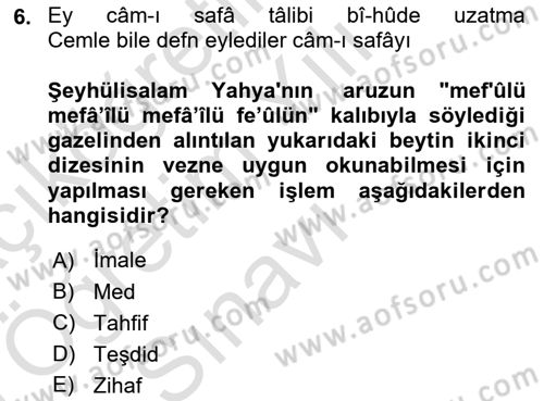 XVII. Yüzyıl Türk Edebiyatı Dersi 2024 - 2025 Yılı Yaz Okulu Sınav Soruları 6. Soru