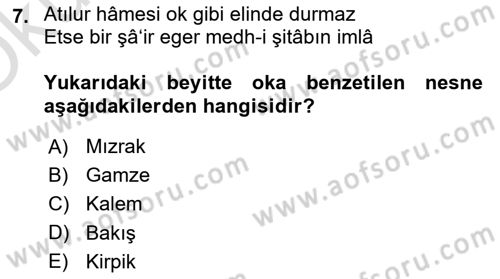 XVII. Yüzyıl Türk Edebiyatı Dersi 2024 - 2025 Yılı Yaz Okulu Sınav Soruları 7. Soru