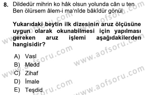 XVII. Yüzyıl Türk Edebiyatı Dersi 2024 - 2025 Yılı Yaz Okulu Sınav Soruları 8. Soru