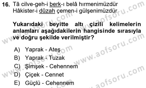 XVII. Yüzyıl Türk Edebiyatı Dersi 2025 - 2026 Yılı (Vize) Ara Sınav Soruları 16. Soru