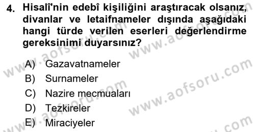 XVII. Yüzyıl Türk Edebiyatı Dersi 2025 - 2026 Yılı (Vize) Ara Sınav Soruları 4. Soru