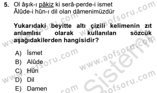 XVII. Yüzyıl Türk Edebiyatı Dersi 2025 - 2026 Yılı (Final) Dönem Sonu Sınav Soruları 5. Soru