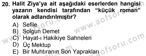 2. Abdülhamit Dönemi Türk Edebiyatı Dersi 2012 - 2013 Yılı (Vize) Ara Sınav Soruları 20. Soru