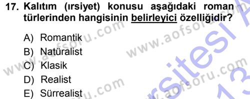2. Abdülhamit Dönemi Türk Edebiyatı Dersi 2012 - 2013 Yılı (Final) Dönem Sonu Sınav Soruları 17. Soru