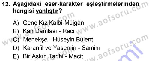 2. Abdülhamit Dönemi Türk Edebiyatı Dersi 2013 - 2014 Yılı (Vize) Ara Sınav Soruları 12. Soru