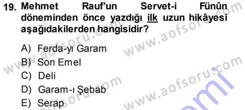 2. Abdülhamit Dönemi Türk Edebiyatı Dersi 2013 - 2014 Yılı (Vize) Ara Sınav Soruları 19. Soru