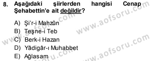 2. Abdülhamit Dönemi Türk Edebiyatı Dersi 2013 - 2014 Yılı (Vize) Ara Sınav Soruları 8. Soru