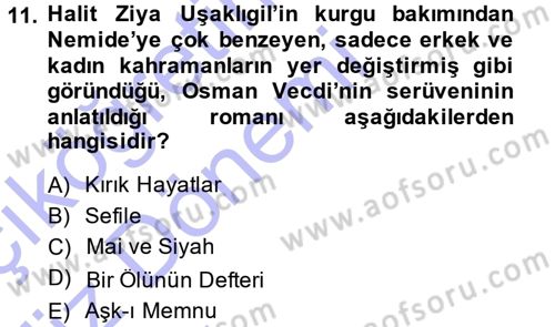 2. Abdülhamit Dönemi Türk Edebiyatı Dersi 2014 - 2015 Yılı (Vize) Ara Sınavı 11. Soru