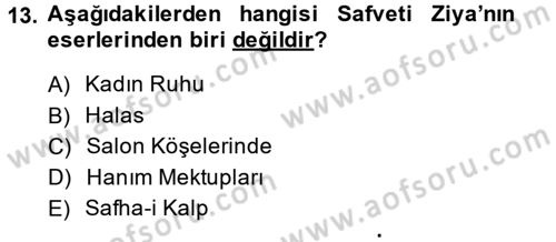 2. Abdülhamit Dönemi Türk Edebiyatı Dersi 2014 - 2015 Yılı (Vize) Ara Sınavı 13. Soru