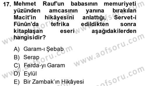 2. Abdülhamit Dönemi Türk Edebiyatı Dersi 2014 - 2015 Yılı (Vize) Ara Sınavı 17. Soru