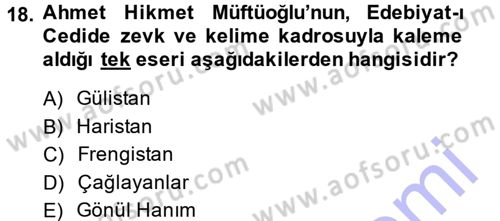 2. Abdülhamit Dönemi Türk Edebiyatı Dersi 2014 - 2015 Yılı (Vize) Ara Sınavı 18. Soru