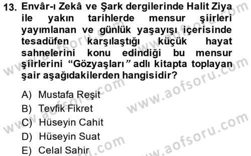 2. Abdülhamit Dönemi Türk Edebiyatı Dersi 2014 - 2015 Yılı (Final) Dönem Sonu Sınav Soruları 13. Soru