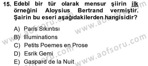 2. Abdülhamit Dönemi Türk Edebiyatı Dersi 2014 - 2015 Yılı (Final) Dönem Sonu Sınav Soruları 15. Soru
