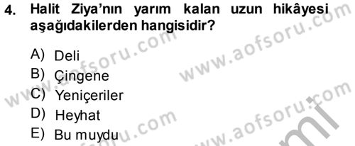 2. Abdülhamit Dönemi Türk Edebiyatı Dersi 2014 - 2015 Yılı (Final) Dönem Sonu Sınav Soruları 4. Soru