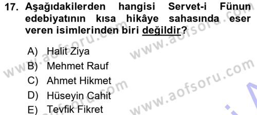2. Abdülhamit Dönemi Türk Edebiyatı Dersi 2015 - 2016 Yılı (Vize) Ara Sınav Soruları 17. Soru