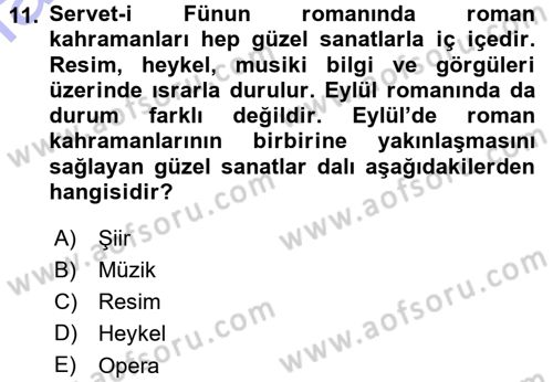2. Abdülhamit Dönemi Türk Edebiyatı Dersi 2015 - 2016 Yılı (Final) Dönem Sonu Sınav Soruları 11. Soru