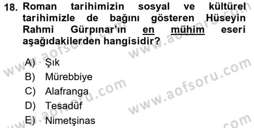 2. Abdülhamit Dönemi Türk Edebiyatı Dersi 2015 - 2016 Yılı (Final) Dönem Sonu Sınav Soruları 18. Soru