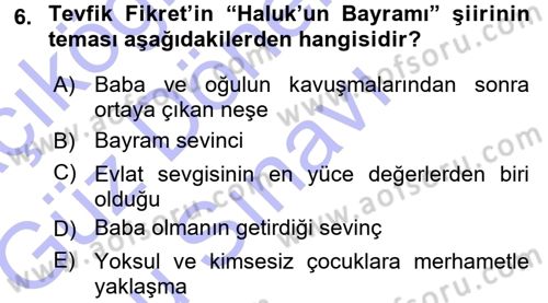 2. Abdülhamit Dönemi Türk Edebiyatı Dersi 2015 - 2016 Yılı (Final) Dönem Sonu Sınav Soruları 6. Soru