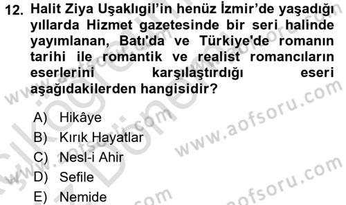2. Abdülhamit Dönemi Türk Edebiyatı Dersi 2016 - 2017 Yılı (Vize) Ara Sınav Soruları 12. Soru
