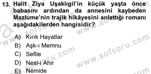 2. Abdülhamit Dönemi Türk Edebiyatı Dersi 2016 - 2017 Yılı (Vize) Ara Sınav Soruları 13. Soru